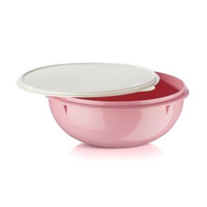 Tupperware Fix N Mix Bowl
